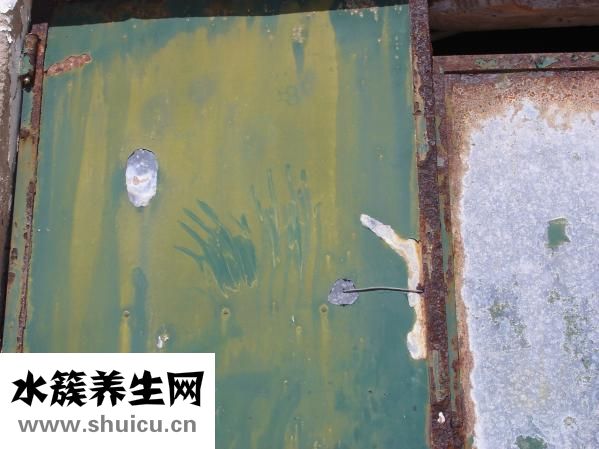 灰尘螨虫过敏怎么办