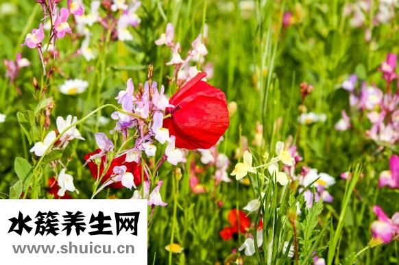白癜风怎么治疗问答