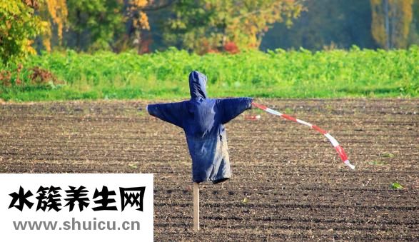 怎么铺被子