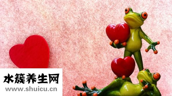心率慢怎么治疗