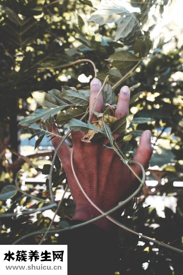 怎么判断她是鸡