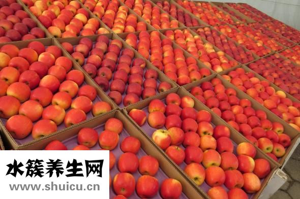 孕妇体重过快怎么办