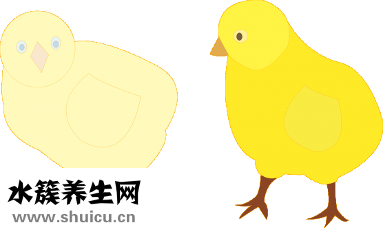 小鸡拉红屎怎么治？专家教你如何正确治疗