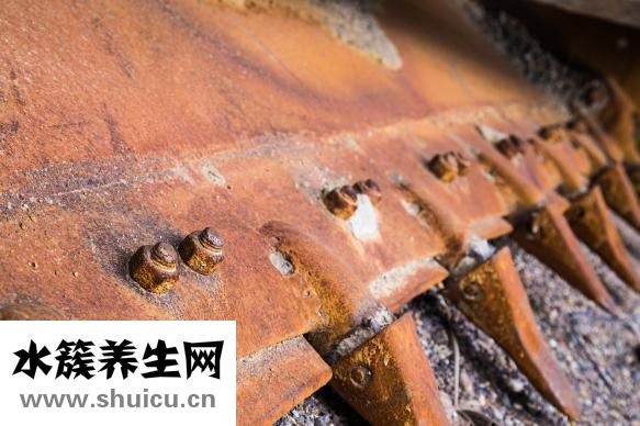 野生黄芪怎么吃