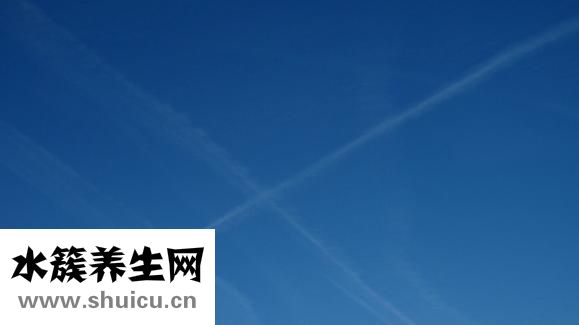 印花怎么画