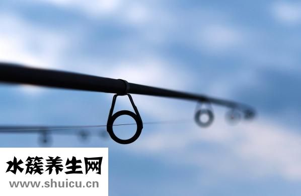春天怎么钓鱼