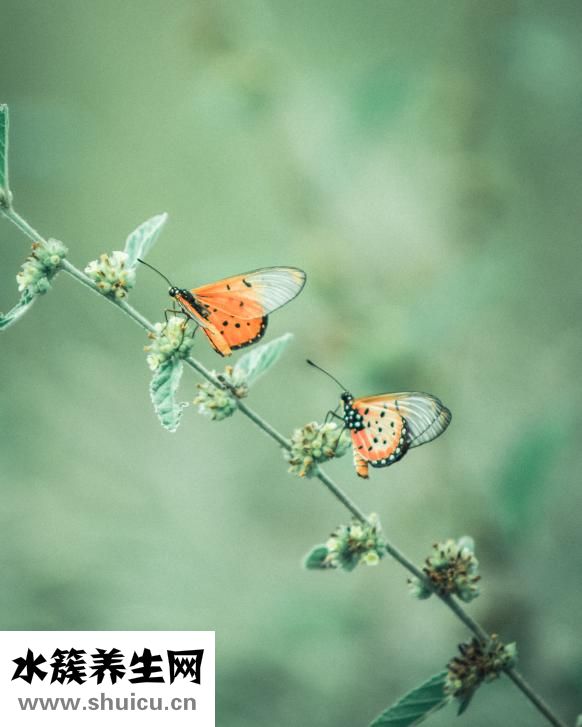 脊椎不稳怎么治疗