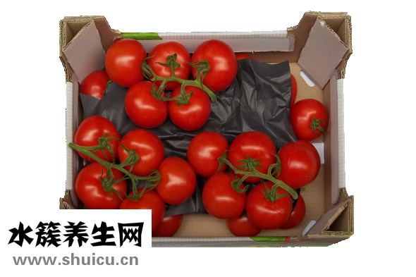 西红柿怎么吃能防癌