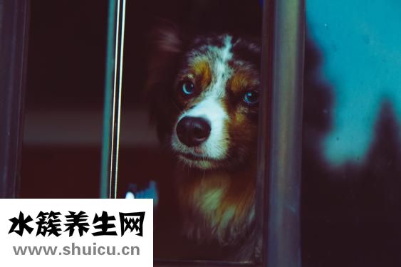 鬼魂一号位怎么打