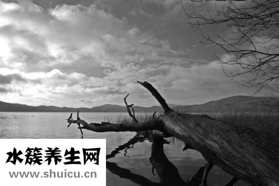 白癜风怎么治疗快