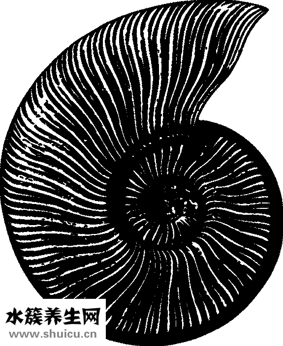 怎么治疗脊椎病