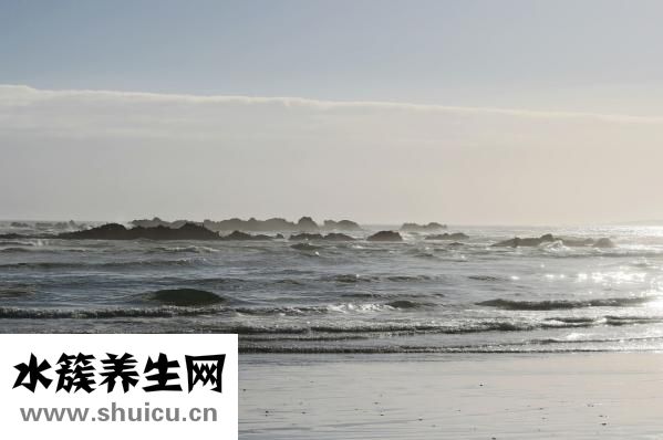 柴的笔顺怎么写