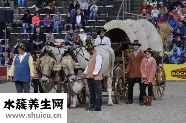 个人健康声明怎么写
