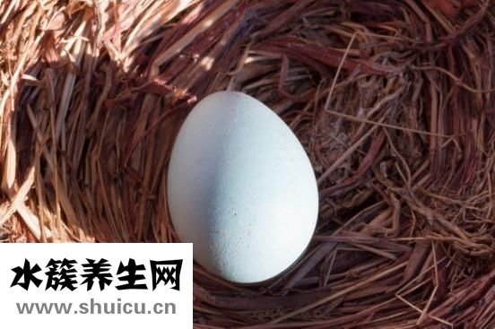 微波炉怎么蒸蛋