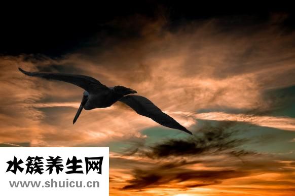 小孩怎么断奶