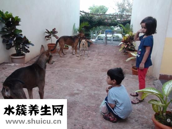 幼儿自闭症该怎么办
