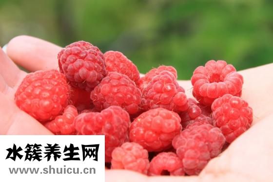 菌子怎么做