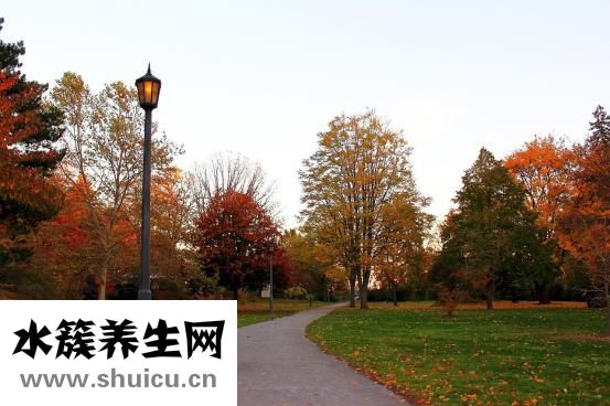 木桶发霉了怎么处理