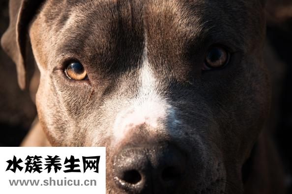 怎么斗鸡眼