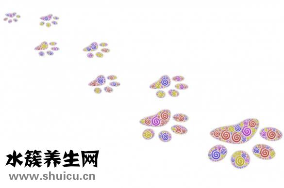 怎么煮宽粉能快熟