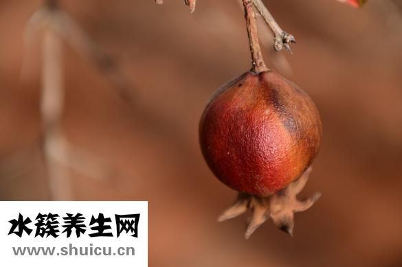 石榴木命缺木怎么办