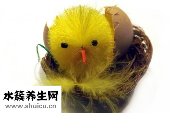 跳蛋怎么清洗