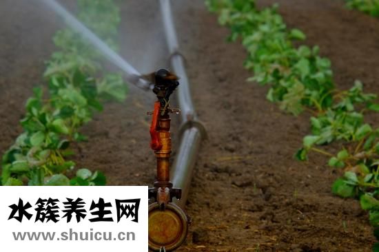 怎么调整跳绳长度