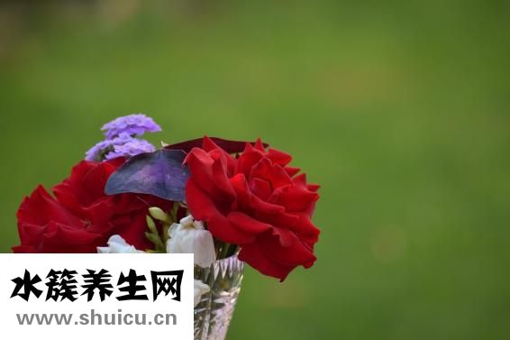 怎么大声吹口哨