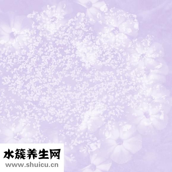 怎么预防黄疸