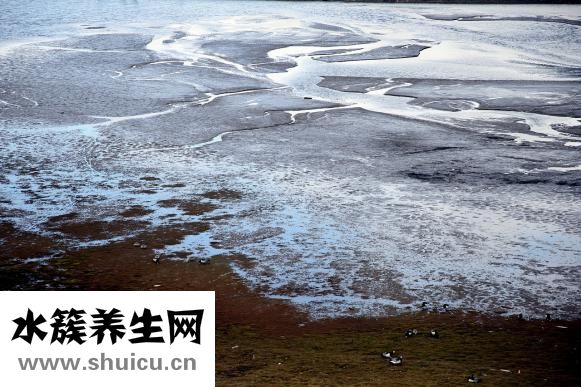 布蕾怎么做