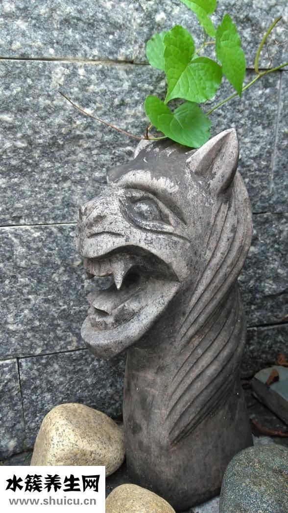 怎么操都不过瘾