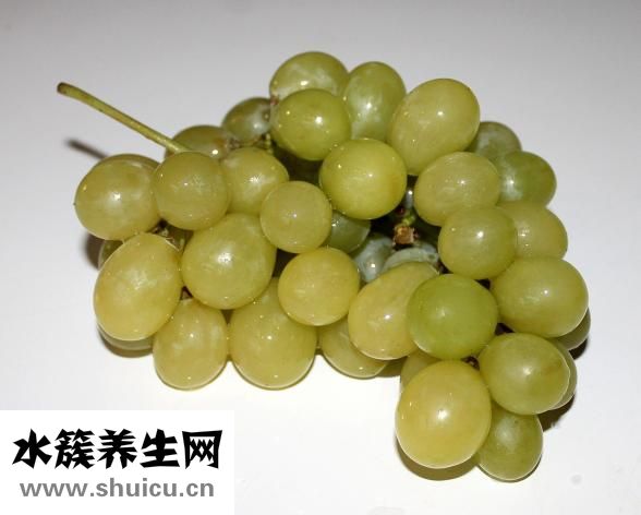 新鲜苦瓜怎么泡水喝