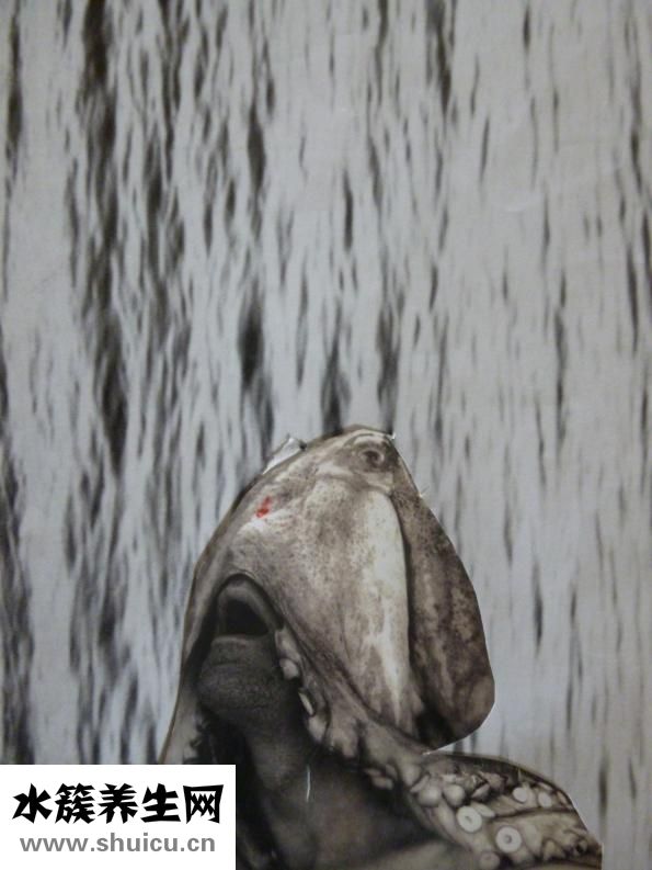 出错气了怎么办