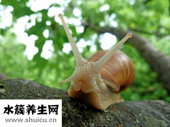 放屁带血怎么