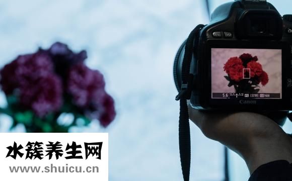 心脏照影是怎么回事