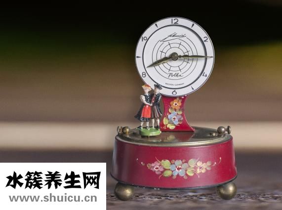 阿胶磨成粉怎么保存