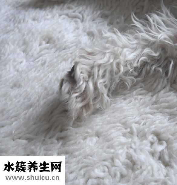 挑羊毛注意事项一挑毛绒要注意哪些事？