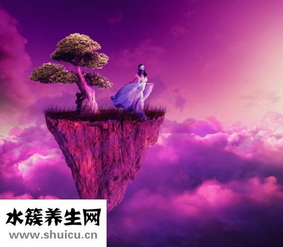个人健康声明怎么写