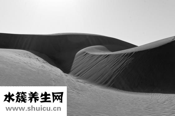 怎么辨别野生甲鱼