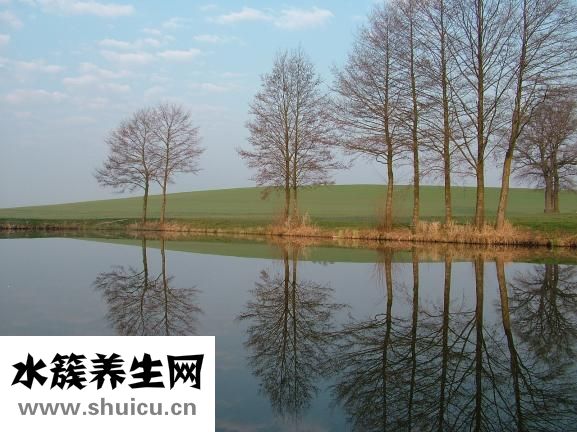螃蟹怎么保存过夜