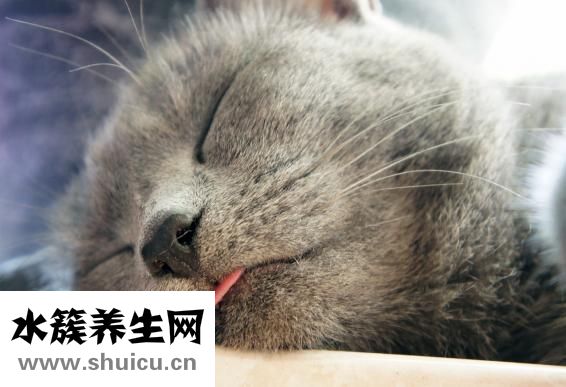 睡觉时怎么把人弄晕