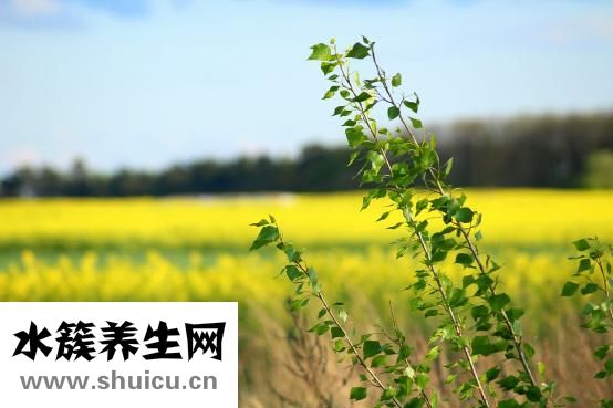 失恋了怎么安慰她