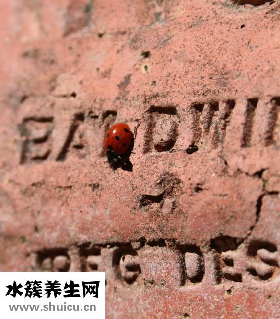 笑停不下来怎么办