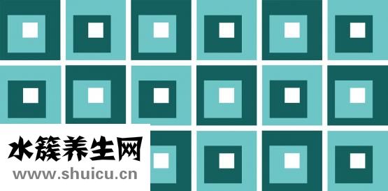 海灵芝怎么吃
