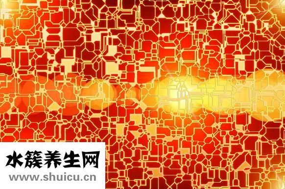 牛犊拉血怎么回事？生活中需要预防感染