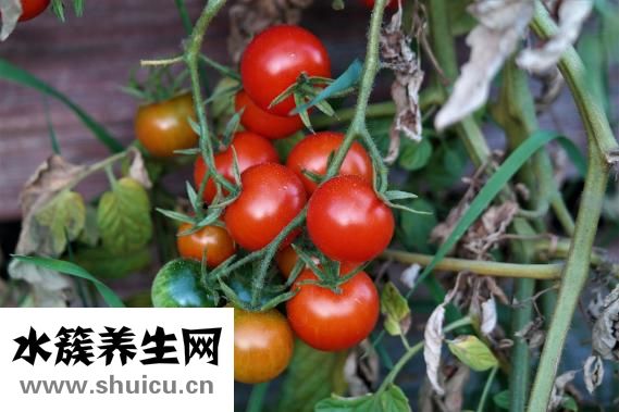 小腹胀痛怎么办