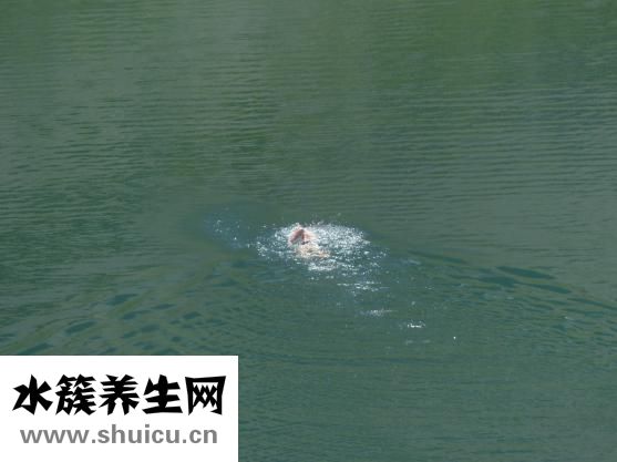 戴眼镜怎么学游泳