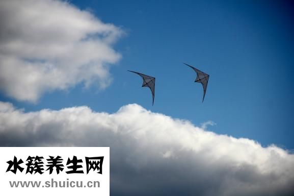 怎么教育内向的孩子