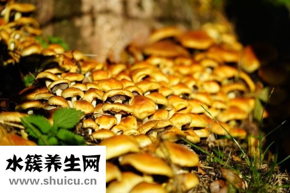 腿长水泡怎么回事