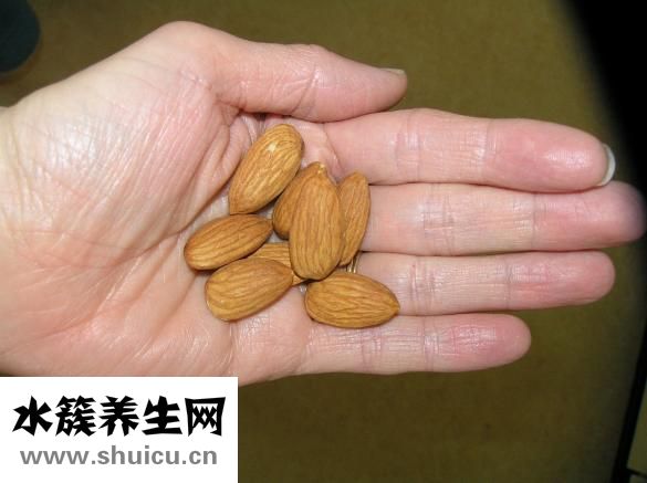 咳嗽怎么吃川贝母粉